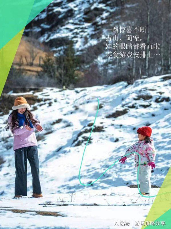四川7日游旅行团多少钱 看完就懂！麻将胡了成都旅游四天行程安排表(图4)