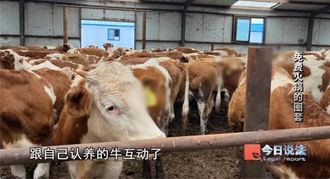 火锅暗藏玄机600多名老人被骗近4200万麻将胡了试玩模拟器又一投资骗局曝光：免费(图4)